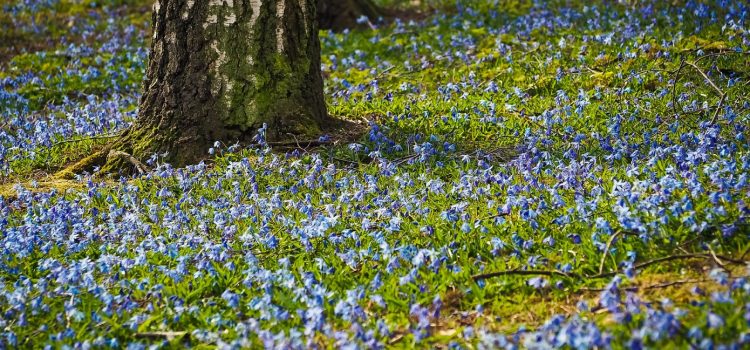 Comment installer son salon de jardin  à domicile ?