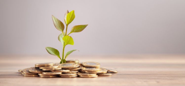 Investir dans l’immobilier, la bourse ou l’assurance-vie : comment choisir la bonne stratégie ? Investir dans l’immobilier, la bourse ou l’assurance-vie : comment choisir la bonne stratégie ?