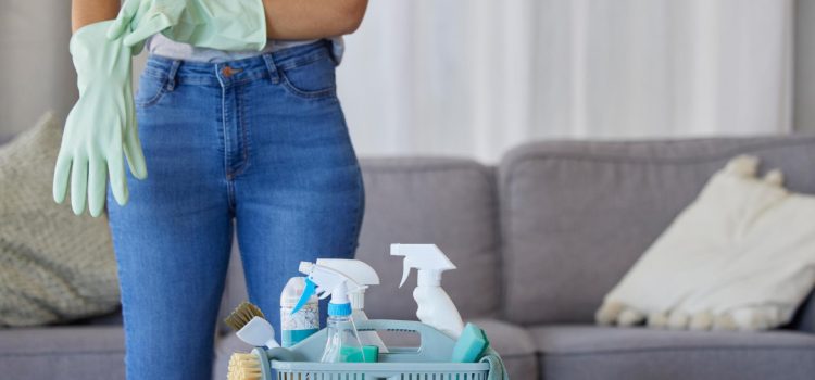 Trois bonnes raisons de faire appel à des services de ménage à domicile Trois bonnes raisons de faire appel à des services de ménage à domicile