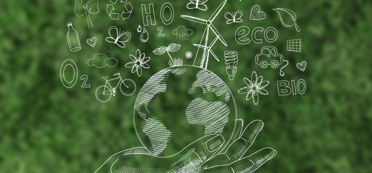 Comment la RSE et l’éducation transforment les engagements en projets pédagogiques concrets ?