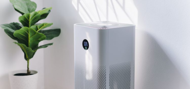 Location de déshumidificateur à Nice : la solution contre l’humidité dans le logement Location de déshumidificateur à Nice : la solution contre l’humidité dans le logement